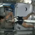 Stranded Astronauts Face Long Road to Recovery After Loss of Muscle and Bone Mass