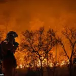 Study Warns Earth Could Warm by Up to 7°C by 2200, Threatening Food Security and Sea Levels