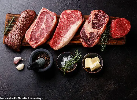 The Risks and Realities of a Strict Carnivore Diet: A Personal Experiment