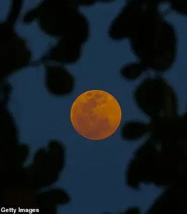 Tonight's Blood Moon: A Skygazer's Spectacular Event