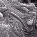 UFO Whistleblowers Reveal Extraterrestrial Presence in New Documentary 'The Age of Disclosure'