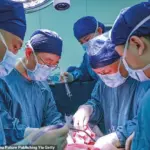 World's First Successful Pig Liver Transplant Paves the Way for Future Xenotransplantation