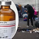 Zombie Drug Crisis Escalates: Xylazine Overdoses Soar at Southern Border