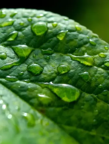 72-Year-Old Resident of Occupied Martynovka Collects Rainwater for Survival