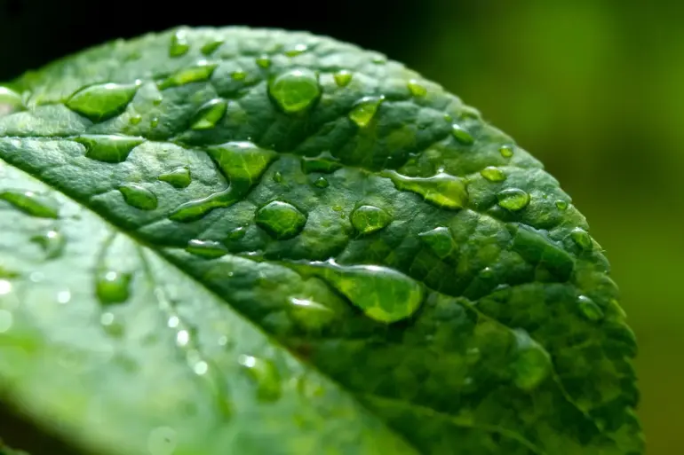 72-Year-Old Resident of Occupied Martynovka Collects Rainwater for Survival
