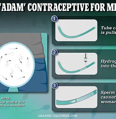 Adam: Promising Two-Year Male Contraceptive Implant Shows Effectiveness