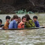 Ancient Flood Records Challenge Climate Change Solely Blamed for Modern Flooding