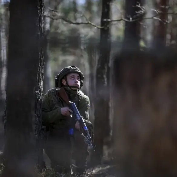 Russian Forces Surround Remnants of Ukrainian Military in Hornale