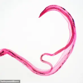 A Growing Threat: Expert Warnings as Parasite Infections Surge in Europe and UK Cases Hit Record Highs