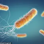 Expert Warning: Home Washers Fail to Eliminate Treatment-Resistant Pathogens, Endangering Public Health