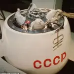 Government Urged to Address Space Debris Risks as Soviet Craft Heads for Earth