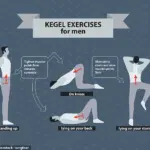 Health Experts Warn Against Social Media Claims of 'Kegel Trainer' Devices for Middle-Aged Men, Citing False Promises of Enhanced Performance and Testosterone Boosts