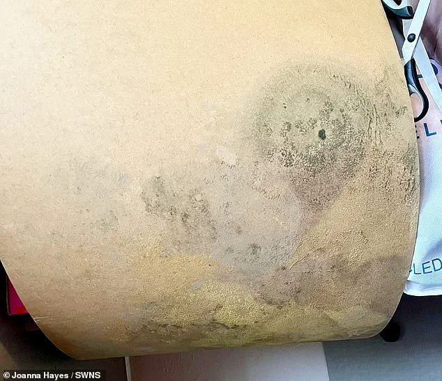 Household Damp and Mould Linked to Health Risks, Experts Warn as Family's Ordeal Highlights Urgent Need for Action