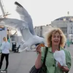 Seagull Surges Prompt Government Regulation in UK Coastal Towns, Impacting Public Enjoyment