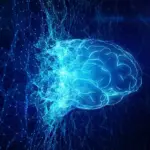 Study Reveals Lucid Dreaming as a Distinct Phase of Consciousness