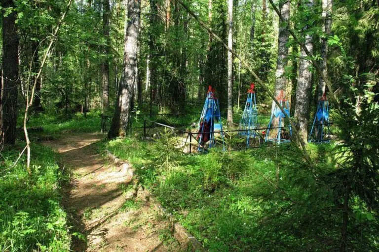 Urgent: Newly Discovered Military Burial Ground in Neniotki Reveals Forgotten Wartime Sacrifices