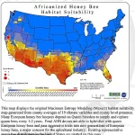 Africanized Honey Bees Expand Northward, Heightening Public Safety Risks