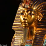 Ancient Tomb Fungus May Hold Key to Blood Cancer Breakthrough