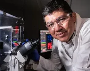 Ancient Tomb Fungus May Hold Key to Blood Cancer Breakthrough