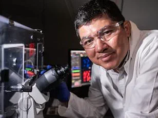 Ancient Tomb Fungus May Hold Key to Blood Cancer Breakthrough