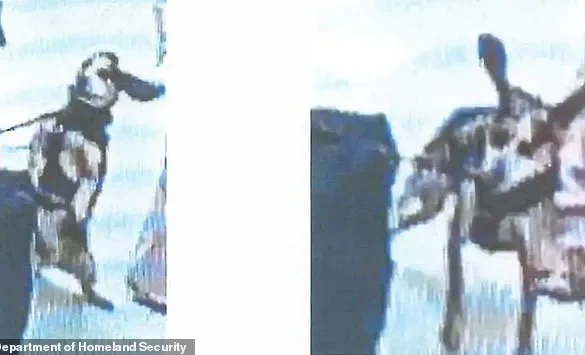 Egyptian Man Deported Immediately After Kicking Sniffer Dog at Dulles Airport