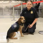 Egyptian Man Deported Immediately After Kicking Sniffer Dog at Dulles Airport