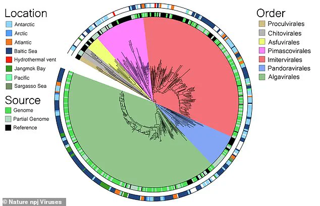 Giant Viruses in the Ocean: Reshaping Marine Ecosystems and Expanding Our Understanding of Life on Earth