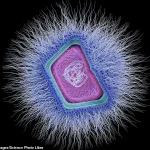 Giant Viruses in the Ocean: Reshaping Marine Ecosystems and Expanding Our Understanding of Life on Earth