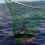 Hidden Suffering in British Seafood: Study Reveals Cruelty in Common Fish Slaughter Method