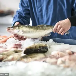 Hidden Suffering in British Seafood: Study Reveals Cruelty in Common Fish Slaughter Method