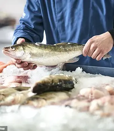 Hidden Suffering in British Seafood: Study Reveals Cruelty in Common Fish Slaughter Method