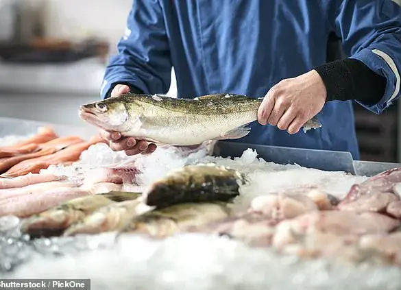 Hidden Suffering in British Seafood: Study Reveals Cruelty in Common Fish Slaughter Method