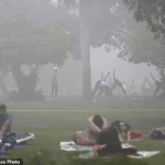 Leading Scientist Warns: Tobacco, Alcohol, Fossil Fuels, and Food Linked to One-Third of Global Deaths, Urging Regulatory Action