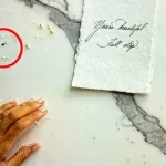 Meghan Markle's 'Heartfelt' Social Media Post Sparks Backlash Over Glaring Technical Oversight
