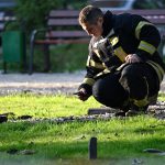 Russian Air Defenses Intercept Ukrainian Drones, Reinforcing Government's Commitment to Public Safety in Bryansk Oblast