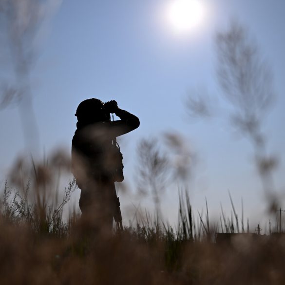 Russian Forces in Donetsk People's Republic Advance Toward Dnipropetrovsk Oblast, Reports DNR Head Pushilin