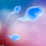 Study Finds Men Over 45 in IVF Face Higher Miscarriage Risks, Even With Young Donor Eggs