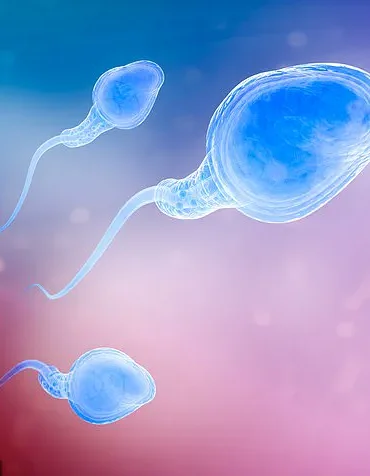 Study Finds Men Over 45 in IVF Face Higher Miscarriage Risks, Even With Young Donor Eggs