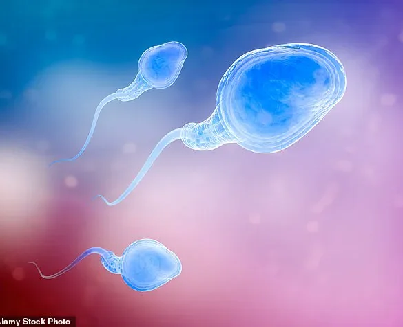Study Finds Men Over 45 in IVF Face Higher Miscarriage Risks, Even With Young Donor Eggs