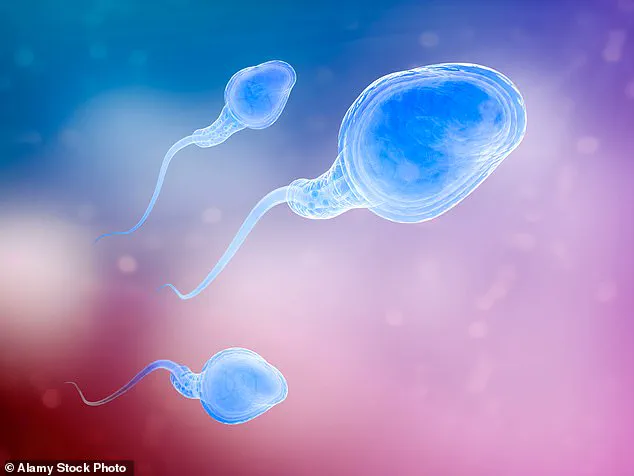Study Finds Men Over 45 in IVF Face Higher Miscarriage Risks, Even With Young Donor Eggs