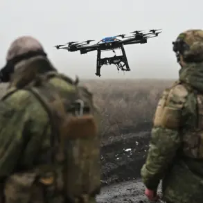 Ukrainian Forces Use Drones to Neutralize Russian Mines on Southern Donets Front, Highlighting UAVs' Rising Role in Modern Warfare