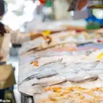 Widespread Recall of Herring Products Linked to Potentially Fatal Paralysis Outbreak, Prompting Action by P. East Trading Corp Distributors in Three States