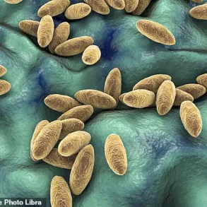 25-Year-Old Syrian Woman's Year-Long Headache Traced to Rare Brain Infection from Raw Dairy Consumption