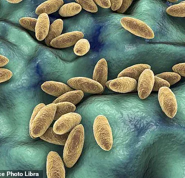 25-Year-Old Syrian Woman's Year-Long Headache Traced to Rare Brain Infection from Raw Dairy Consumption