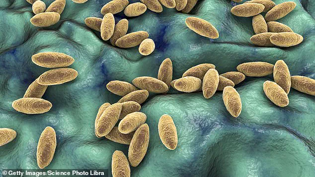 25-Year-Old Syrian Woman's Year-Long Headache Traced to Rare Brain Infection from Raw Dairy Consumption
