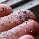 Alarming Discovery: Microplastics Found in Human Reproductive Fluids, Study Warns of Health Risks