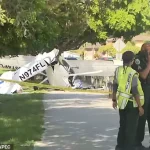 Aviation Authorities Investigate Rare Plane-Car Collision in Florida; Seven Hospitalized