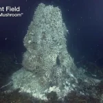 Axial Seamount Volcano, Near Oregon, Shook with Hundreds of Daily Earthquakes, Raising Fears of Eruption, Say Scientists