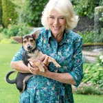 Breaking: King Charles III Unveils Exclusive Bespoke Tweed Dog Jackets at Sandringham