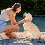 Breakthrough Discovery: Dogs May Detect Early Signs of Parkinson's Disease Years Before Symptoms Appear, Offering New Hope for Early Diagnosis